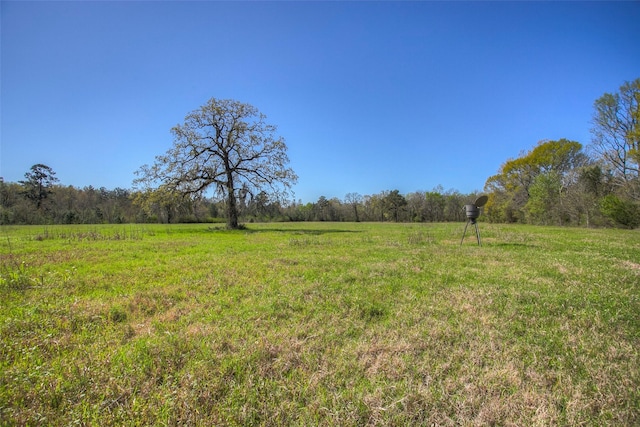 1547 Fm-1375, Huntsville, TX 77340
