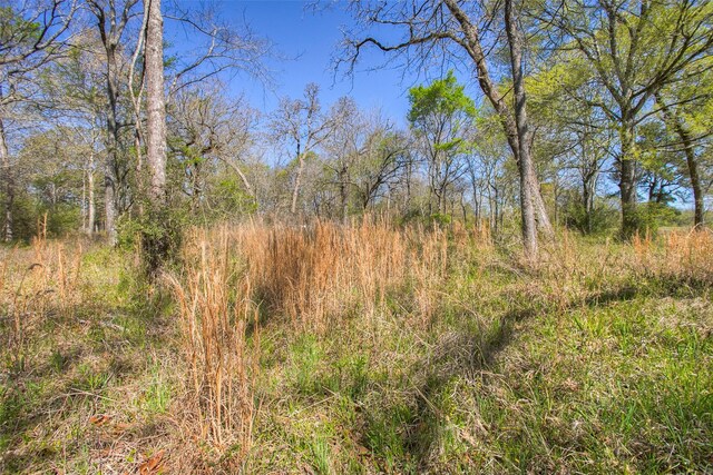 1547 Fm-1375, Huntsville, TX 77340