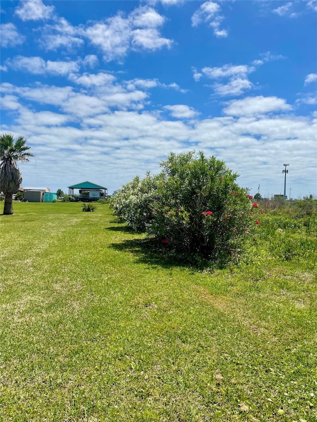 1139 Diamond Rd, Crystal Beach, TX 77650 - view of grassy yard