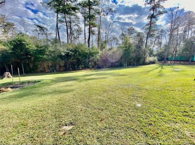 865 Sir Jim Dr, Woodville, TX 75979 - view of grassy yard with view of wooded area