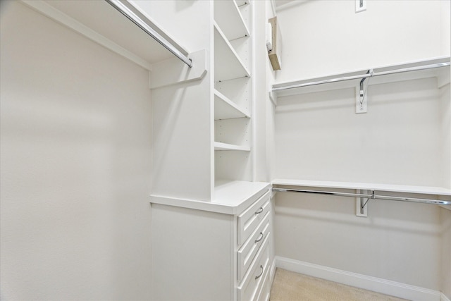 1505 Missouri St, Houston, TX 77006 - walk in closet with light colored carpet