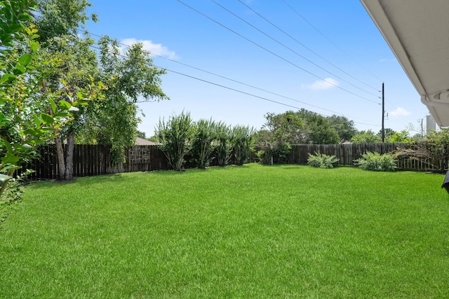 19030 Piney Way Dr, Tomball, TX 77375 - view of yard