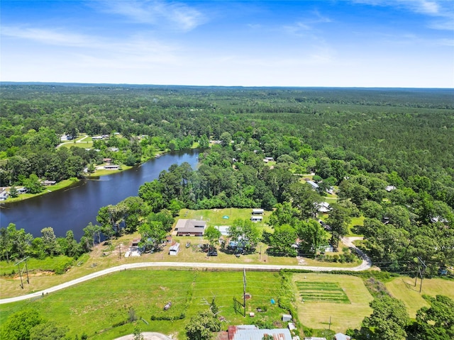 135 Sweetgum St, Trinity, TX 75862 - aerial view of property and surrounding area featuring a forest and a large body of water