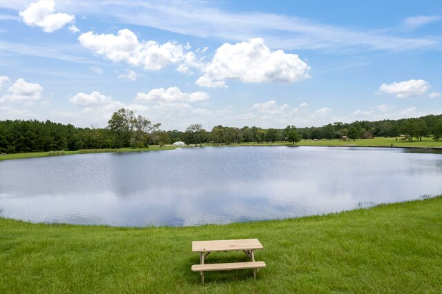 15679 Forest Grove Dr, Willis, TX 77378