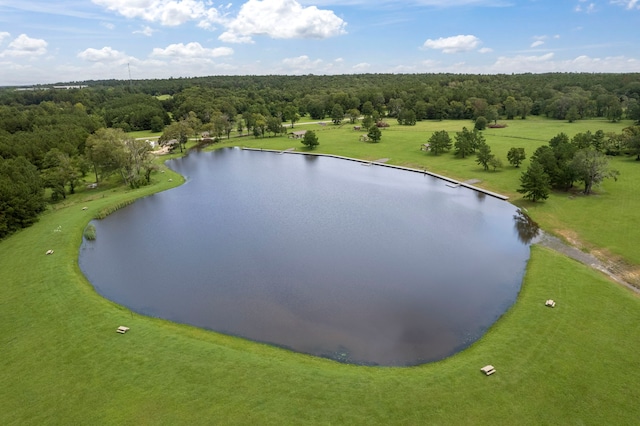 15679 Forest Grove Dr, Willis, TX 77378
