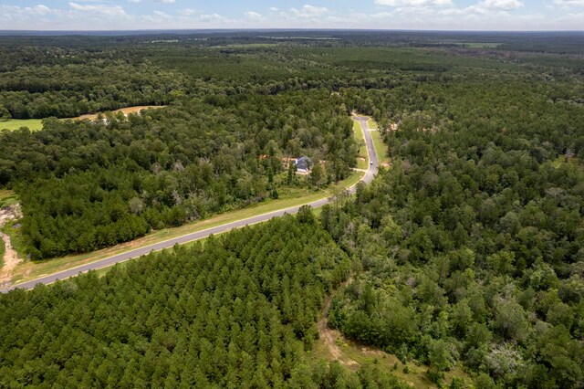 15679 Forest Grove Dr, Willis, TX 77378