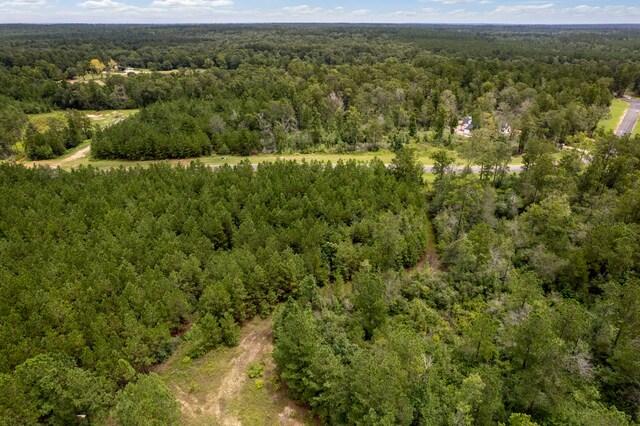 15679 Forest Grove Dr, Willis, TX 77378
