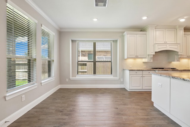 29407 Amber Meadows Ct, Katy, TX 77494 - kitchen featuring healthy amount of natural light, baseboards, wood finished floors, light stone counters, and ornamental molding