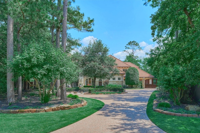 2 Cluny Ct, The Woodlands, TX 77382 - photo 31