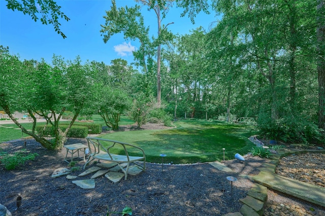 2 Cluny Ct, The Woodlands, TX 77382 - photo 35