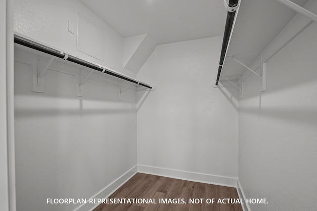 975 Oak Mist Ln, Magnolia, TX 77354 - spacious closet with dark wood finished floors
