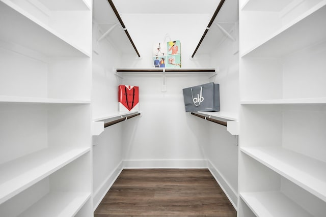 6273 Rd 5503, Cleveland, TX 77327 - spacious closet with wood finished floors