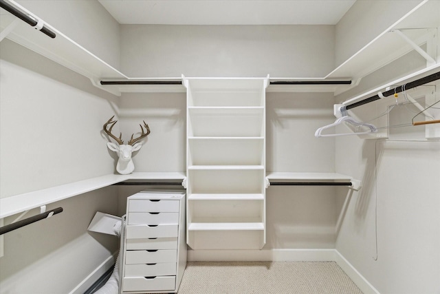 2805 Blodgett St Unit C, Houston, TX 77004 - walk in closet with carpet flooring
