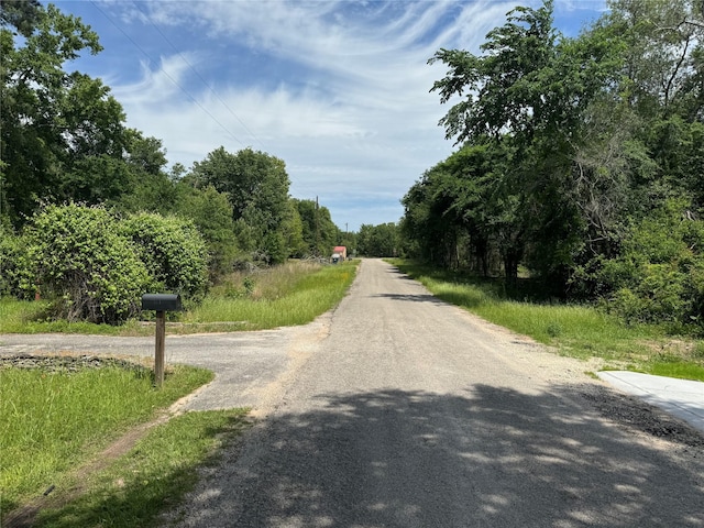 24532 Tyrone, Hempstead, TX 77445 - view of street