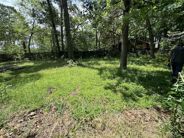 24532 Tyrone, Hempstead, TX 77445 - view of yard