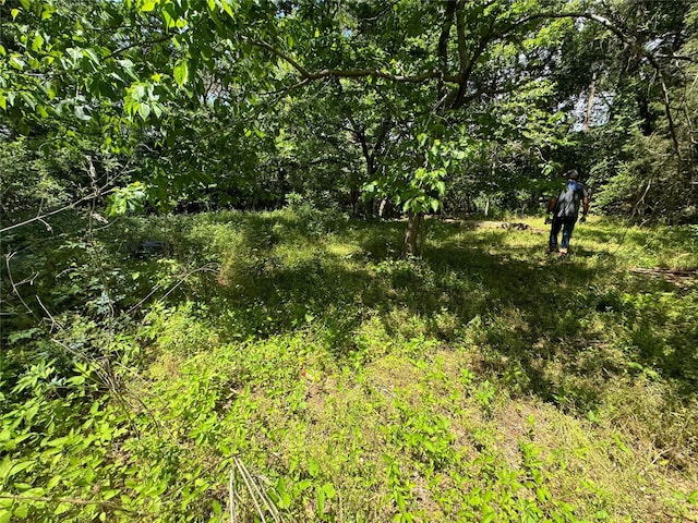 24532 Tyrone, Hempstead, TX 77445 - view of undeveloped land
