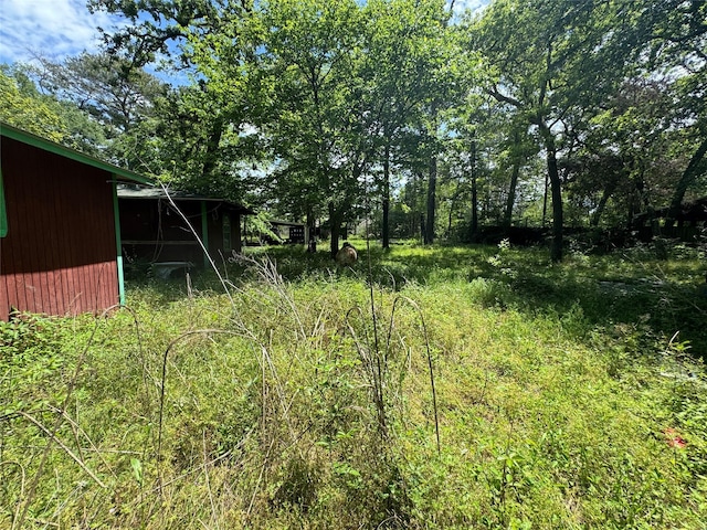 24532 Tyrone, Hempstead, TX 77445 - view of yard