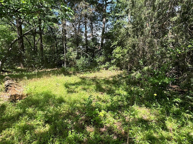 24532 Tyrone, Hempstead, TX 77445 - view of undeveloped land