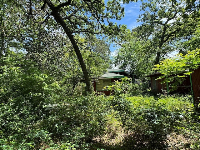 24532 Tyrone, Hempstead, TX 77445 - view of yard with an outbuilding