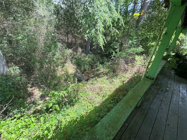 24532 Tyrone, Hempstead, TX 77445 - view of yard