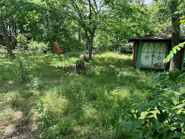 24532 Tyrone, Hempstead, TX 77445 - view of yard with a storage shed and an outdoor structure