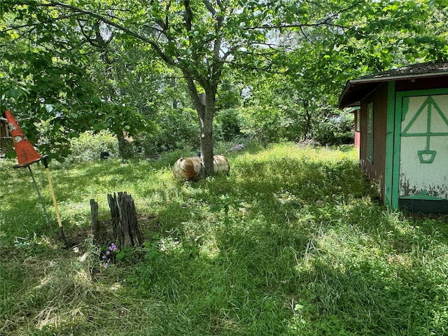 24532 Tyrone, Hempstead, TX 77445 - view of yard with a shed and an outdoor structure