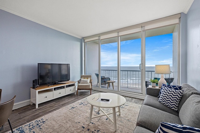 1401 E Beach Dr Unit 1205, Galveston, TX 77550 - living room featuring crown molding, wood finished floors, expansive windows, and baseboards