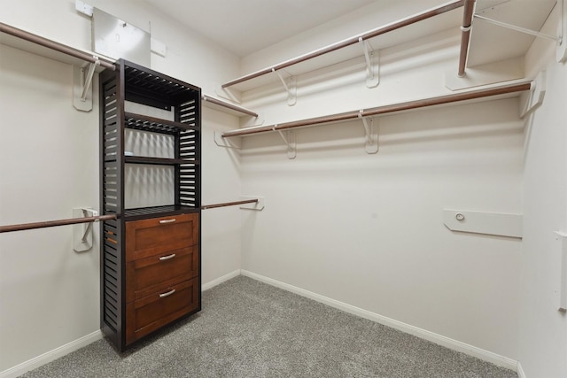 spacious closet featuring light carpet