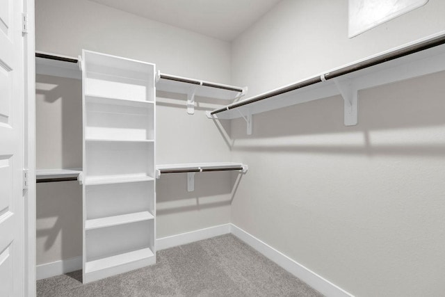 21611 Elmheart Dr, New Caney, TX 77357 - spacious closet featuring carpet flooring