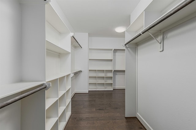 2305 Langston St, Houston, TX 77007 - walk in closet featuring dark wood-style flooring