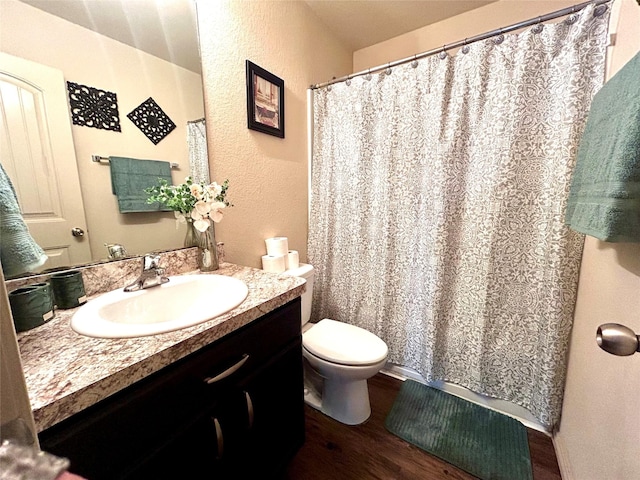 16410 Rodeo River Rd, Houston, TX 77049 - bathroom featuring wood finished floors, a textured wall, toilet, vanity, and a shower with shower curtain