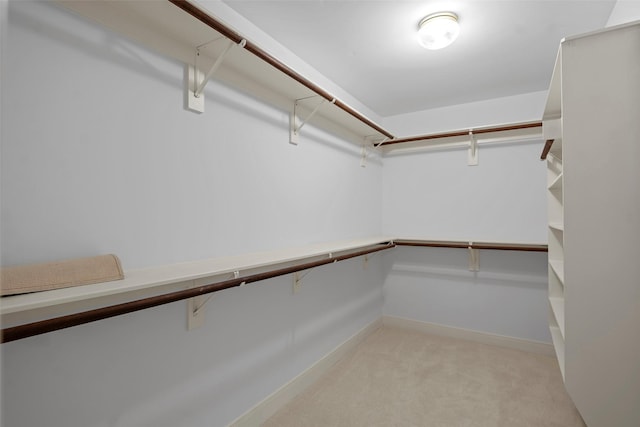 16503 Torry View Ter, Houston, TX 77095 - walk in closet featuring light colored carpet