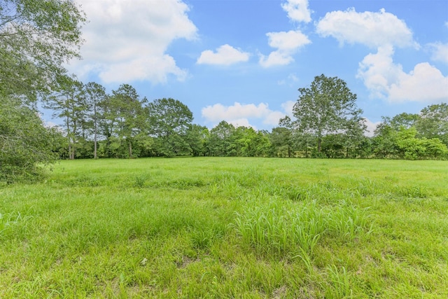80 Pams Run, Shepherd, TX 77371