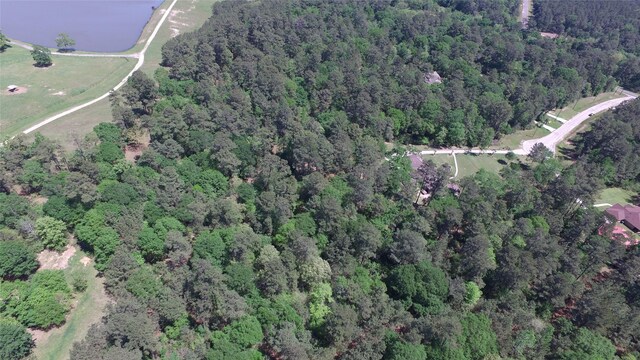0 Single Shot Ct, Huntsville, TX 77340