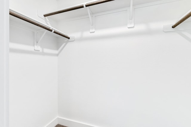 15786 Hickory, Montgomery, TX 77356 - view of walk in closet