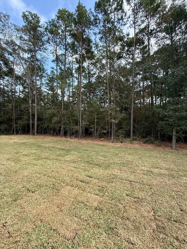 15786 Hickory, Montgomery, TX 77356 - view of grassy yard
