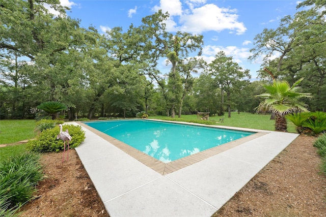 6803 E Treaschwig Rd, Spring, TX 77373 - swimming pool featuring view of wooded area and a lawn