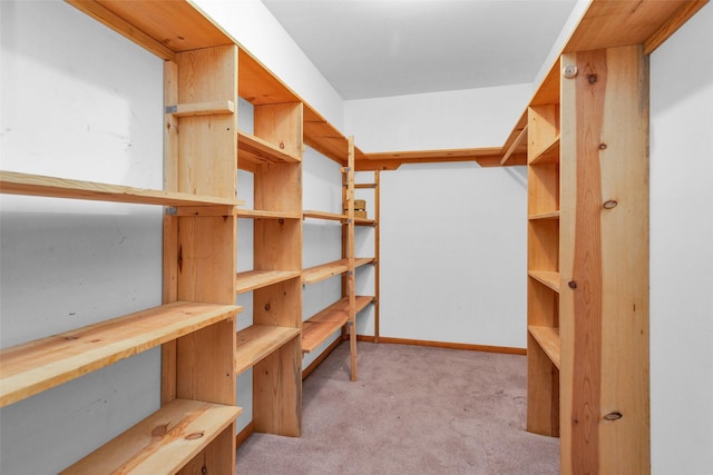 24614 Spruce, Huntsville, TX 77320 - view of storage room