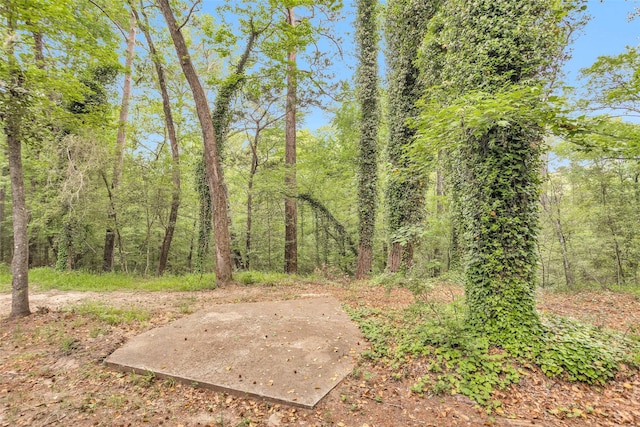 24614 Spruce, Huntsville, TX 77320 - view of yard featuring a patio and a view of trees
