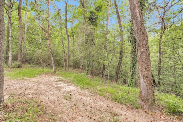 24614 Spruce, Huntsville, TX 77320 - view of woods