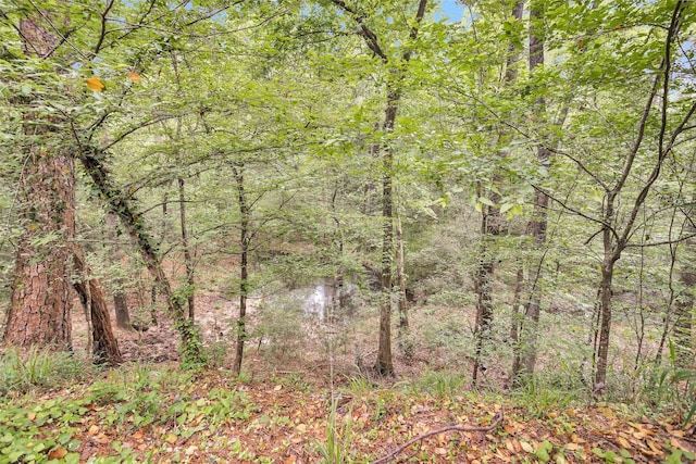 24614 Spruce, Huntsville, TX 77320 - view of woods
