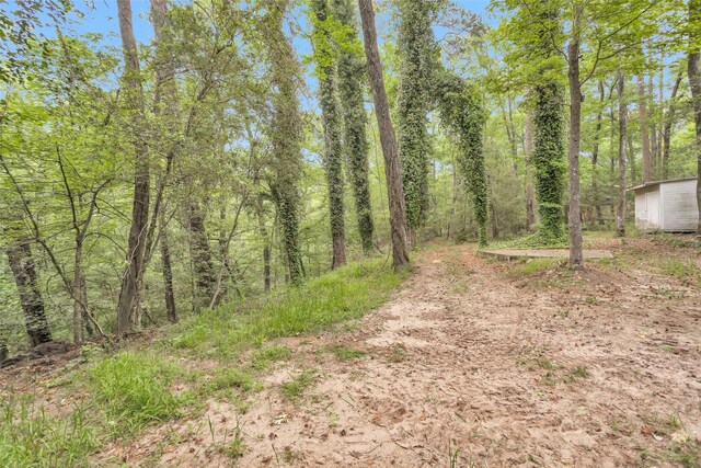 24614 Spruce, Huntsville, TX 77320 - view of tree filled area