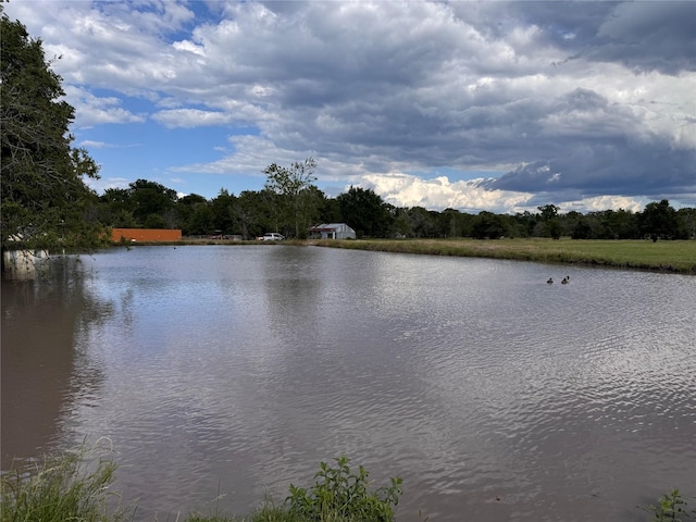 3876 Hummingbird, Bedias, TX 77831 - water view featuring a heavily wooded area