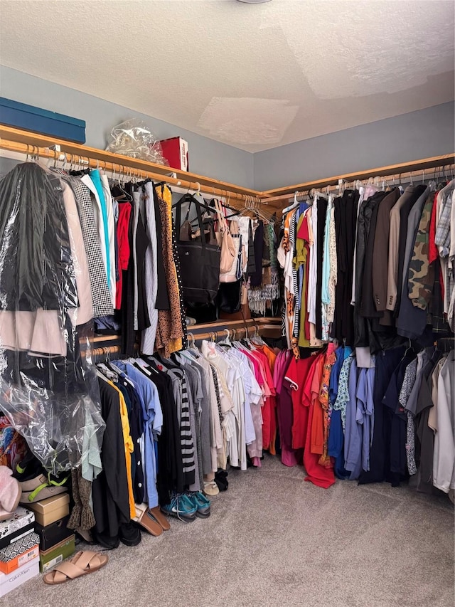 3876 Hummingbird, Bedias, TX 77831 - spacious closet with carpet floors