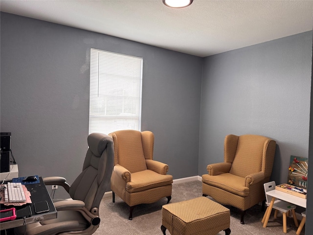 3876 Hummingbird, Bedias, TX 77831 - office area with light colored carpet and baseboards