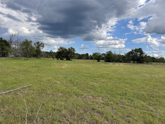 3876 Hummingbird, Bedias, TX 77831 - view of undeveloped land with rural landscape