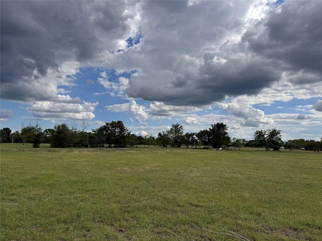 3876 Hummingbird, Bedias, TX 77831 - view of undeveloped land with rural landscape
