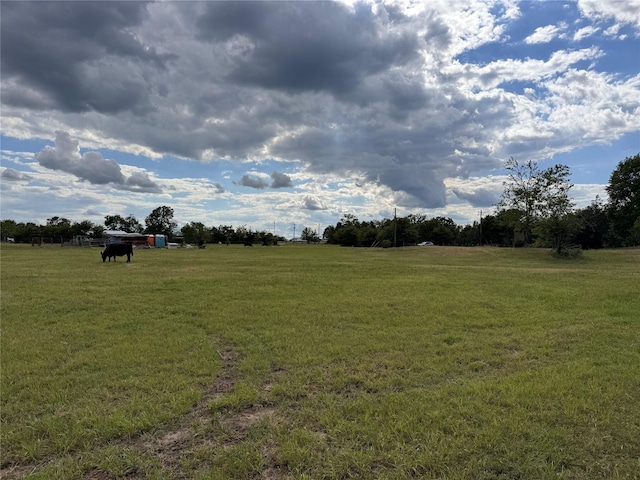 3876 Hummingbird, Bedias, TX 77831 - view of grassy yard featuring a view of rural / pastoral area