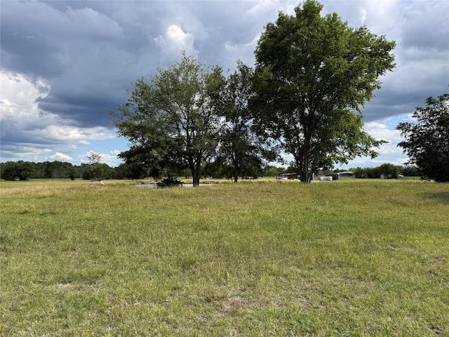 3876 Hummingbird, Bedias, TX 77831 - view of undeveloped land with rural landscape