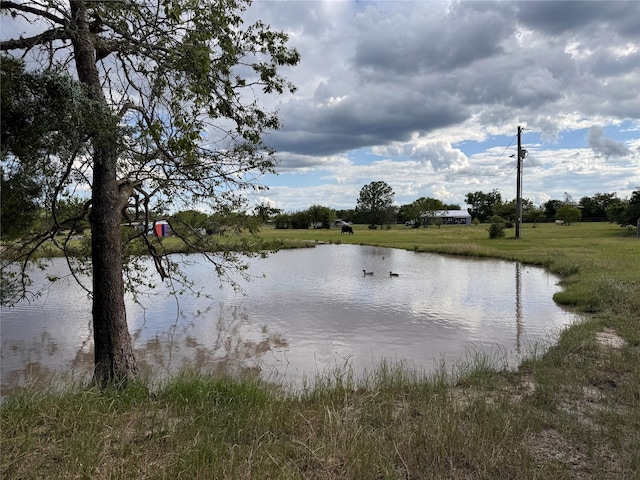 3876 Hummingbird, Bedias, TX 77831 - water view